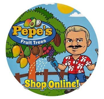 shop.pepesfloridafruittrees.com